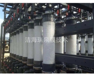 上海某环保公司钒冶废水脱氨嵌套项目